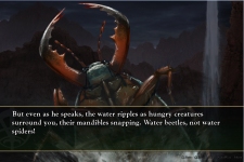 Sword Daughter Water Beetle